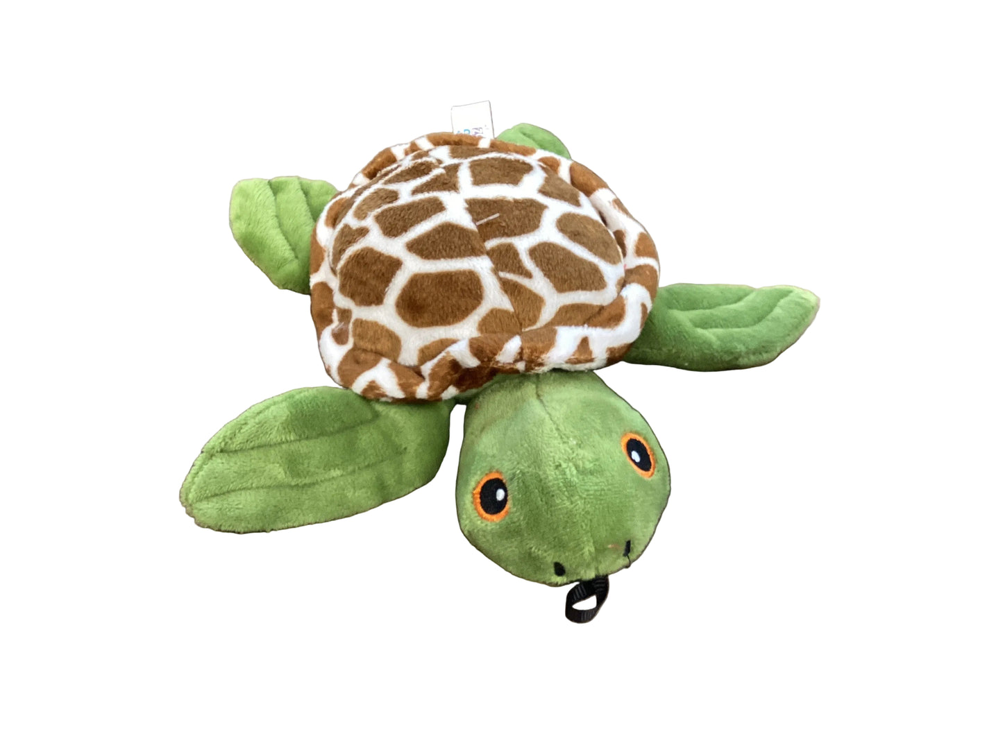 Sheldon Plush Turtle
