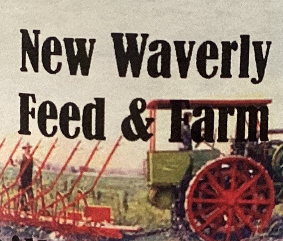 New Waverly Dill Pickles 32oz
