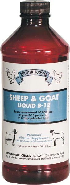 Sheep and Goat Liquid B-12 16oz