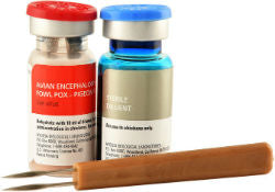 Fowl Pox AE PP Vaccine 1000ds