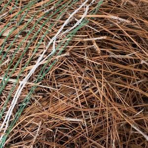 Pine Straw Organic Bale