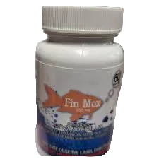 Fin Max 500mg 100ct.