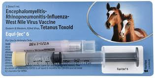 Equi-Jec 6 way Syringe (HORSE)