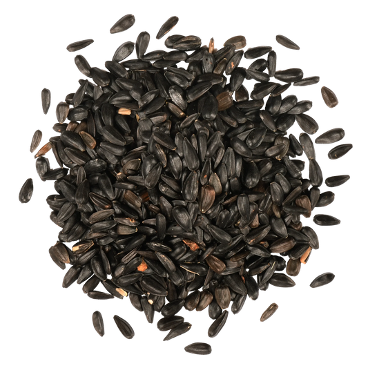 Black Oil Sunflower Seed 5lbs