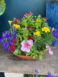 Color Bowl Flowers