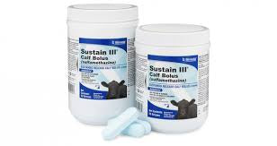 Sustain III Calf Bolus each