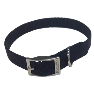 Small Dog Collar 12-16"  * 5/8" Valhoma