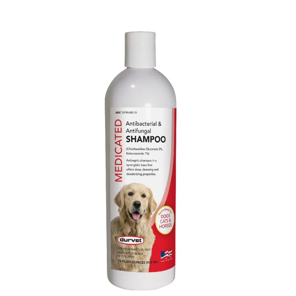 Antibacterial & Antifungal Shampoo 16oz Durvet