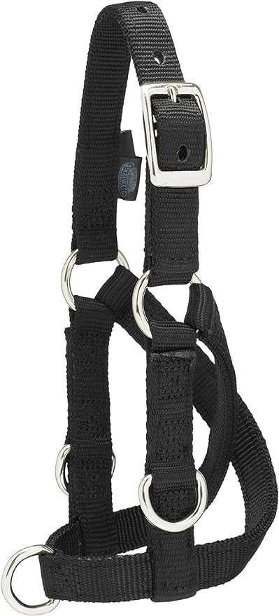 Goat Halter Billy Valhoma