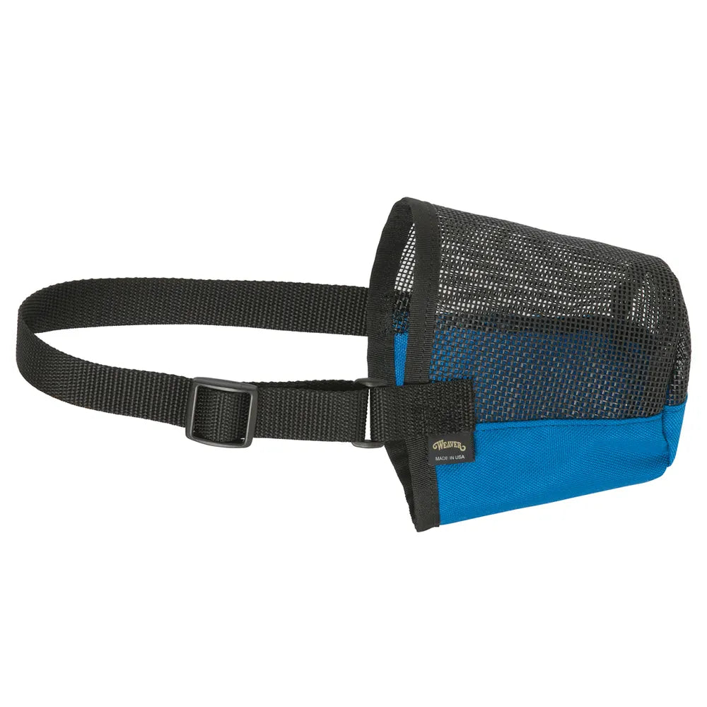 Cordura Lamb Muzzle Blue Large