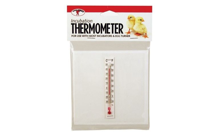 Incubation Thermometer