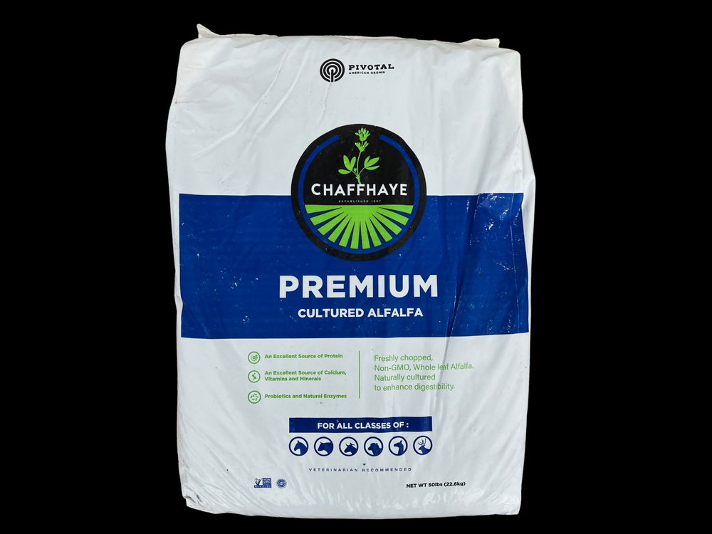 Chaffhaye Cultured Alfalfa