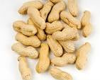 Wild Delight Inshell Peanut 13lbs