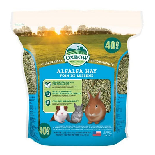 Alfalfa Hay 15 oz