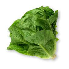 Romaine Lettuce .05oz