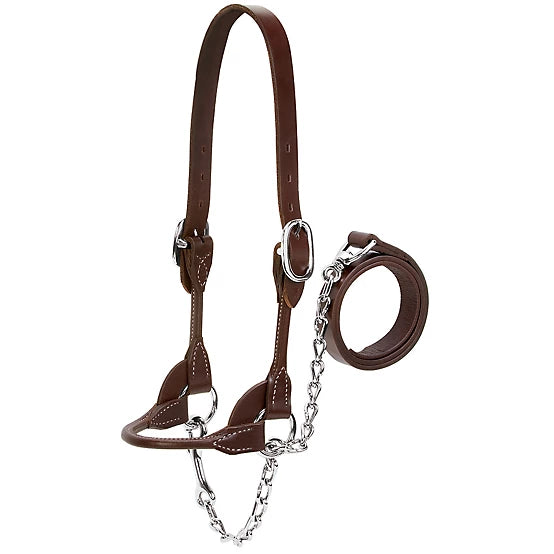 Rope Chain Halter W/Leather Small and Medium