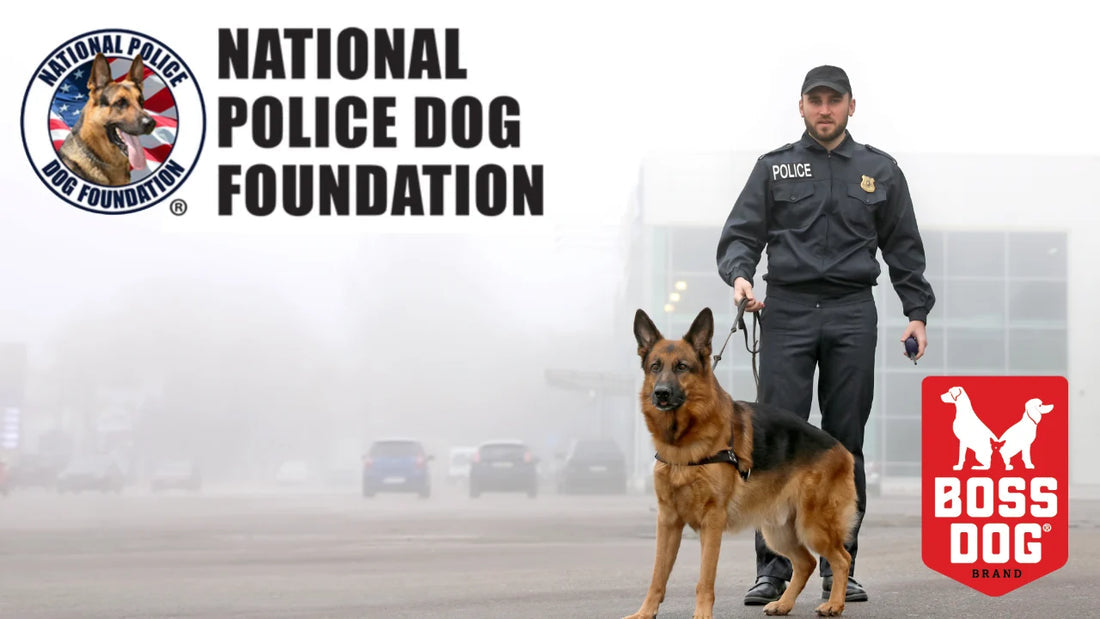 Boss Dog Tactical Collar ExLarge