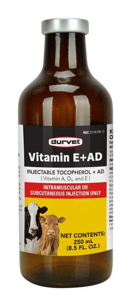 vitamin E + AD