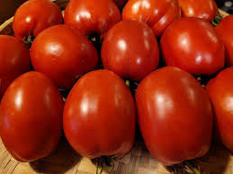 Organic￼Bread & Salt / Copollas Tomato Plants