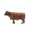 TOY RED ANGUS COW 1/16