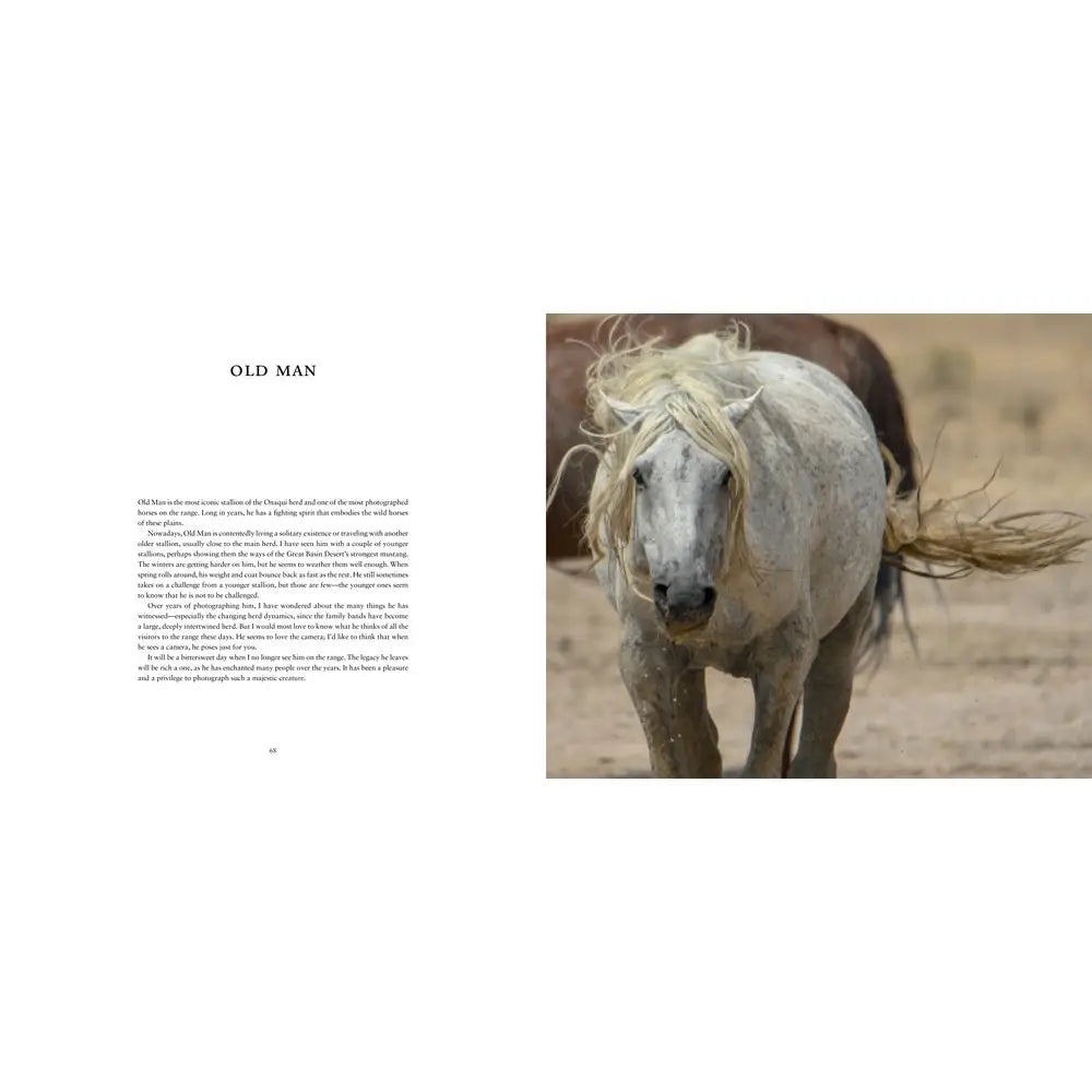 Wild Horses of the West : Photography Coffee Table Book