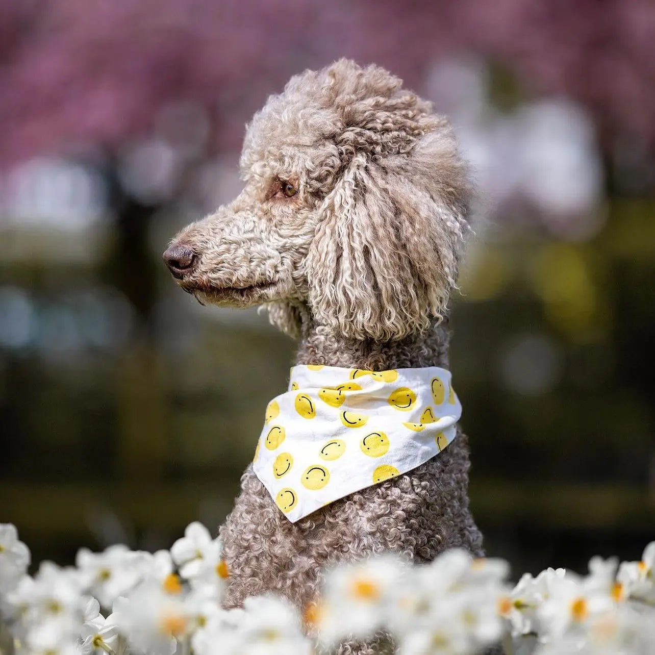 Elsie • Dog Bandana