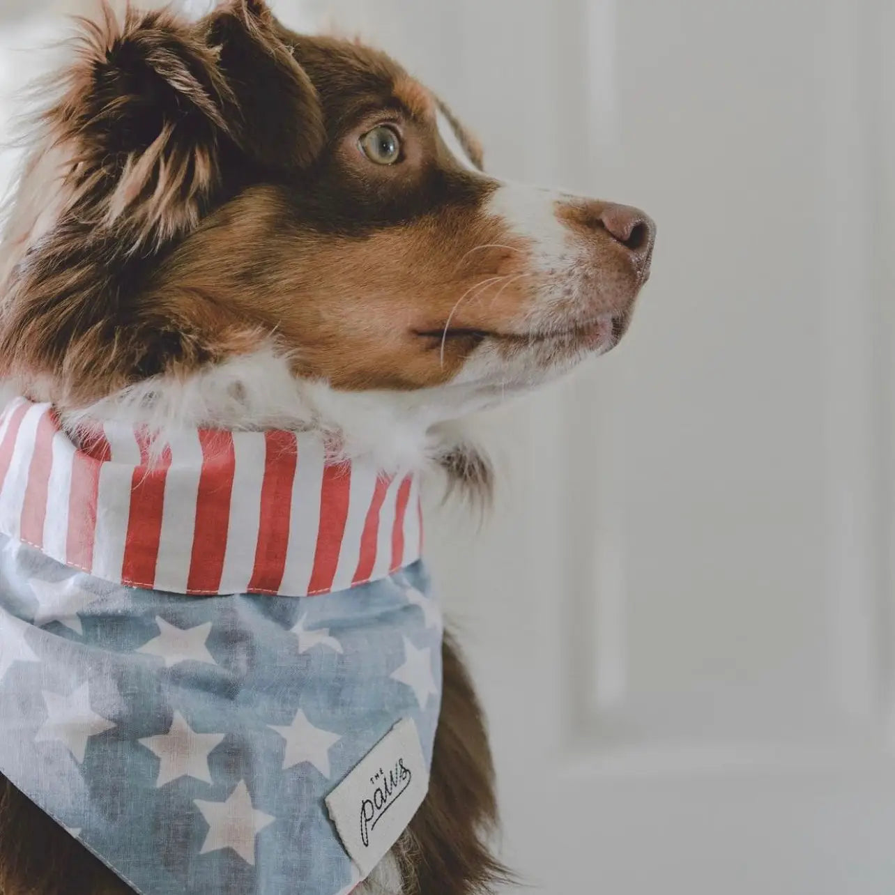 National Dog Bandana