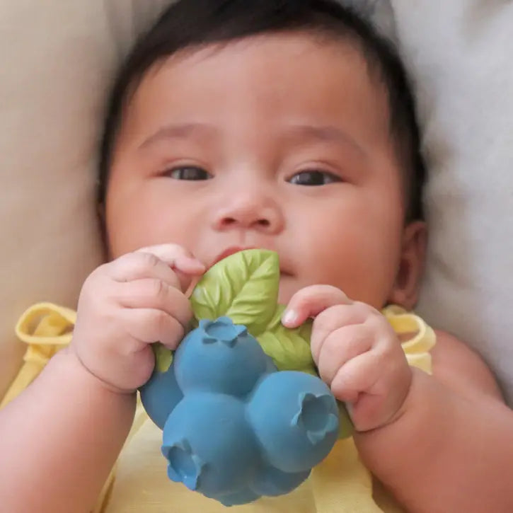 Jerry the Blueberry Teether