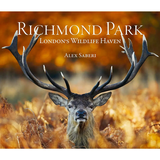 Richmond Park: London's Wildlife Haven