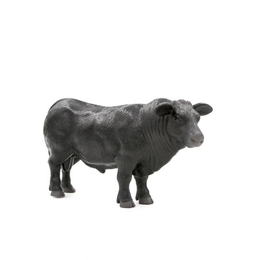 Toy Angus Bull