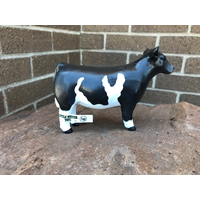 Toy Show Steer Crossbred Black/White