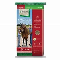 Nutrena SafeChoice Special Care 50lbs.