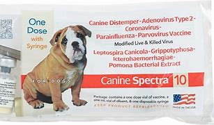 Dog Spectra 10 w/Syringe Single Dose