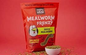 Mealworm Frenzy 3.53oz