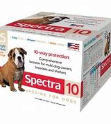 Dog Spectra 10 w/Syringe Single Dose