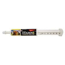 Vitamin B Complex Oral Gel 30ml