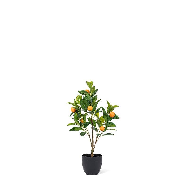 Mini Orange Tree-24"H