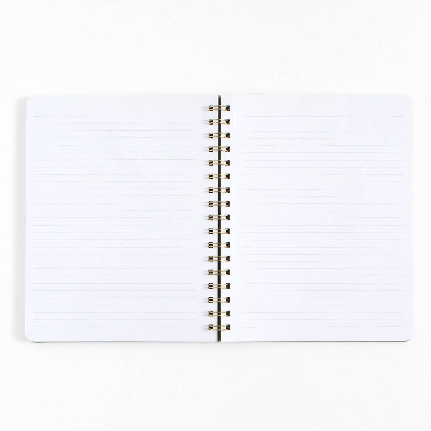 Painted Sky Spiral Notebook
