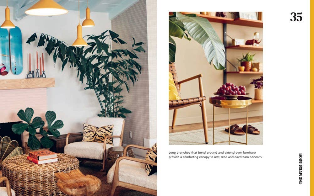 Plant House: Harper by Design