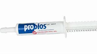 Probios Equine One Oral Gel 30gm