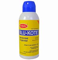 Blu-Kote Aerosol 5oz