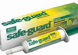 Safe-Guard Horse Wormer 25gm