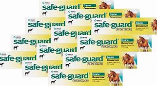 Safe-Guard Horse Wormer 25gm