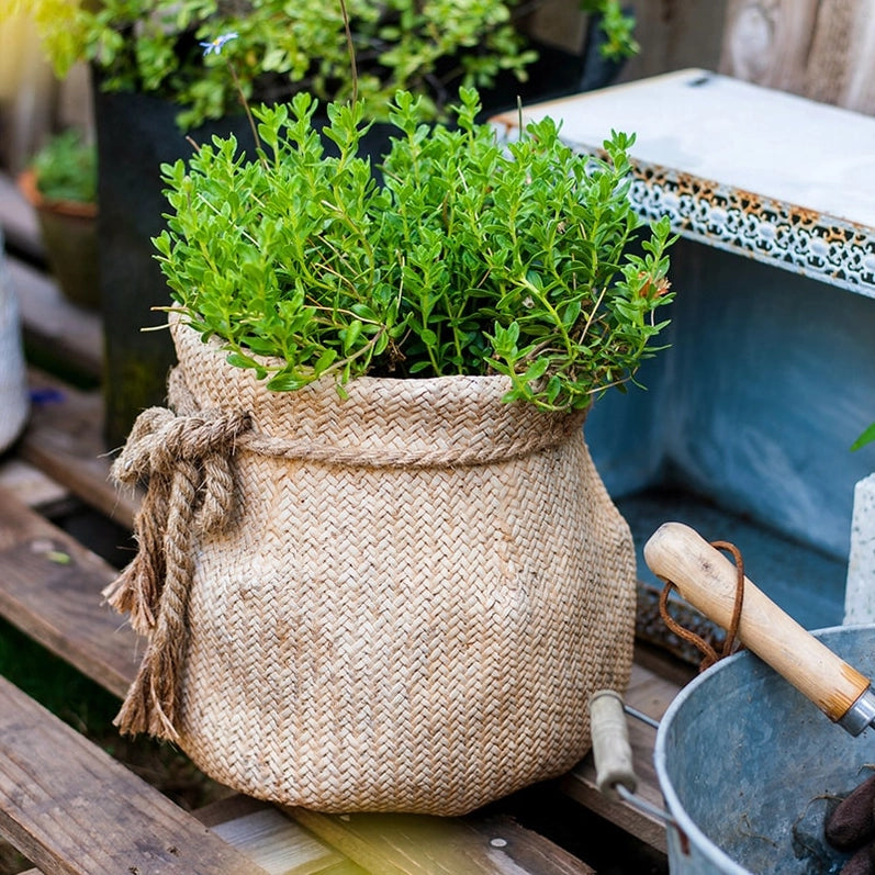 Planter Concrete Garden Pot