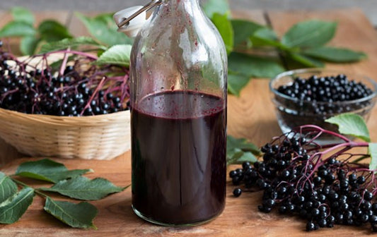 Twisted T Farm Elderberry Syrup