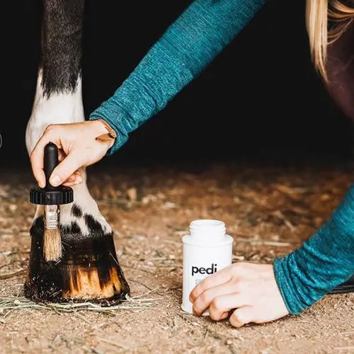 Pedi. A Hoof Conditioner (Half Pint/Pint)