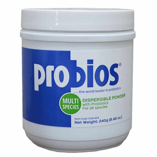 Probios Dispersible Powder 240gm