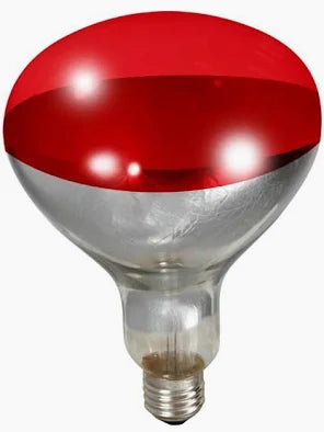 Little Giant Heat Lamp Bulb Red Bulbs 250 Watt