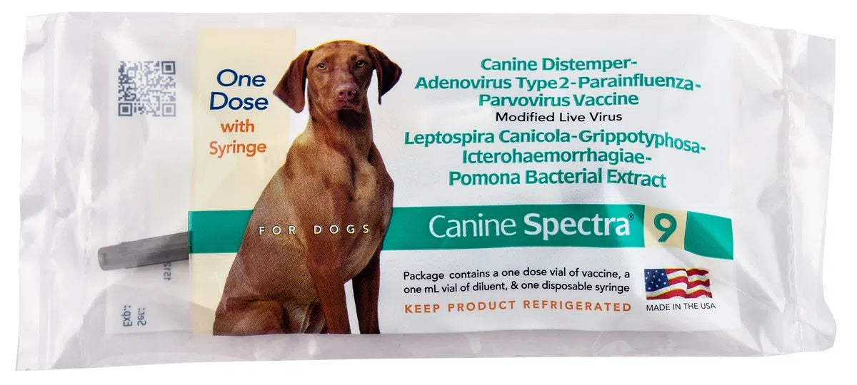 Dog Spectra 9 1ds w/Syringe Single Dose