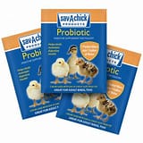 Sav-A-Chick® Probiotic Supplement | 1 strip (3 - 0.17 oz packets)